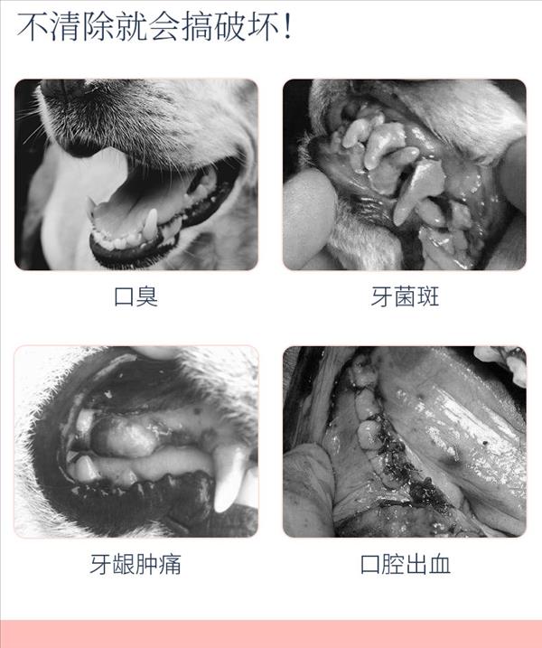 怡亲Yoken 鸡肉味犬用健齿棒 220g*3罐