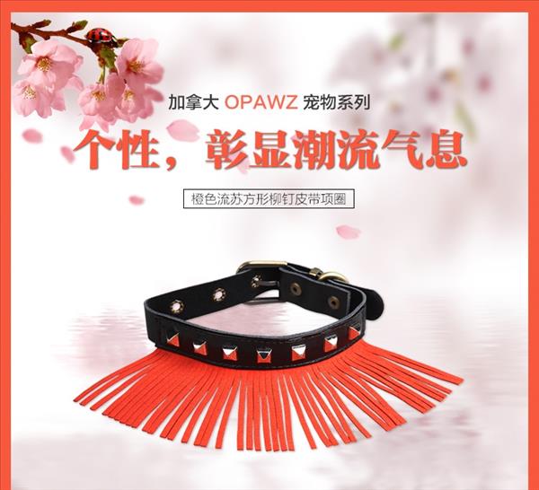 加拿大opawz 橙色流苏方形柳钉皮带项圈 中小型犬猫通用