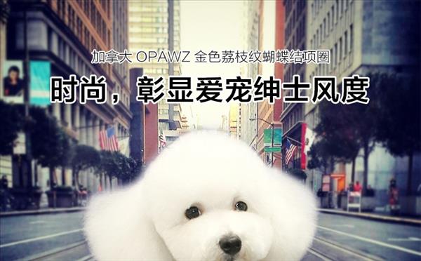 加拿大opawz 宠物金色荔枝纹蝴蝶结项圈