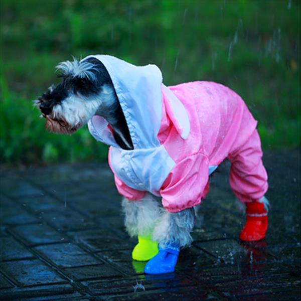 伊丽Elite 卡通造型防水雨衣 狗狗雨衣