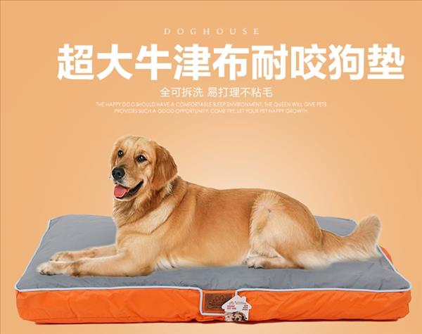 伊丽Elite 中大型犬用橙色牛津布垫子