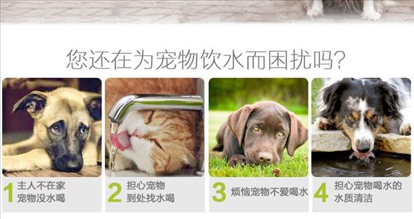 怡亲 犬猫用自动循环饮水器 双层过滤