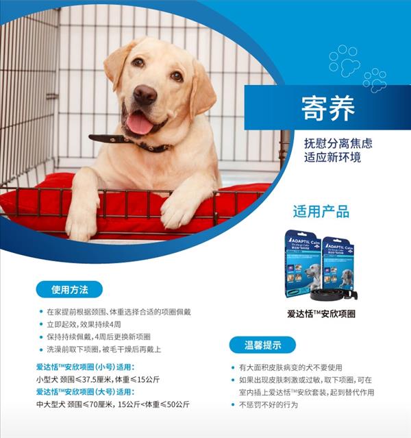 爱达恬 安欣中大型犬可调节项圈 使用便捷 安抚出行情绪 2023.7.1到期