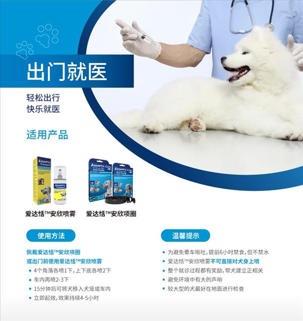 爱达恬 安欣中大型犬可调节项圈 使用便捷 安抚出行情绪 2023.7.1到期