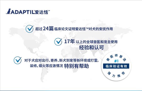 爱达恬 安欣中大型犬可调节项圈 使用便捷 安抚出行情绪 2023.7.1到期