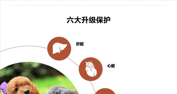 世佳 犬用复合微量元素营养颗粒 480g 改善异食癖均衡营养