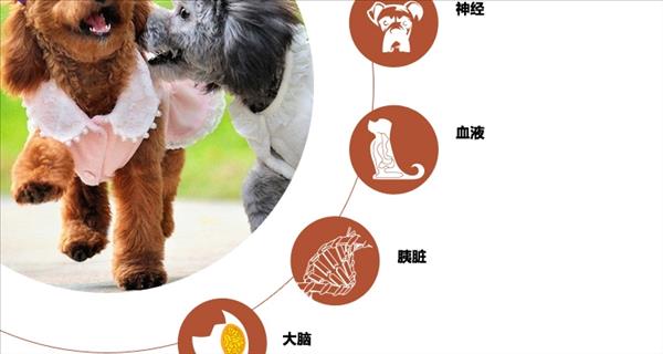 世佳 犬用复合微量元素营养颗粒 480g 改善异食癖均衡营养