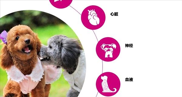 世佳 犬用鲜肉卵磷脂营养颗粒 480g 狗狗美毛护肤