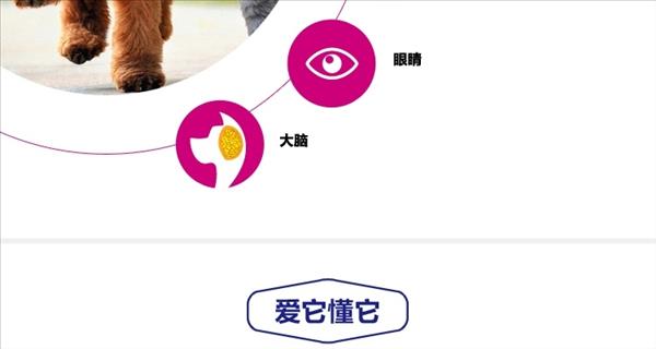 世佳 犬用鲜肉卵磷脂营养颗粒 480g 狗狗美毛护肤