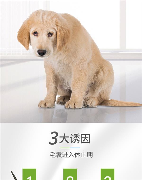 麦德氏inplus 犬用蓝标卵磷脂保健品 3061g  