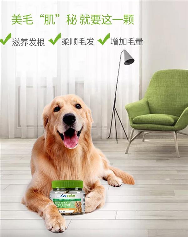 麦德氏 IN-Plus 犬 胶原蛋白卵磷脂 60g 尝鲜装