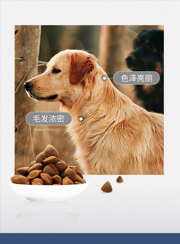 MAG卵磷脂鱼油颗粒（犬用）450g