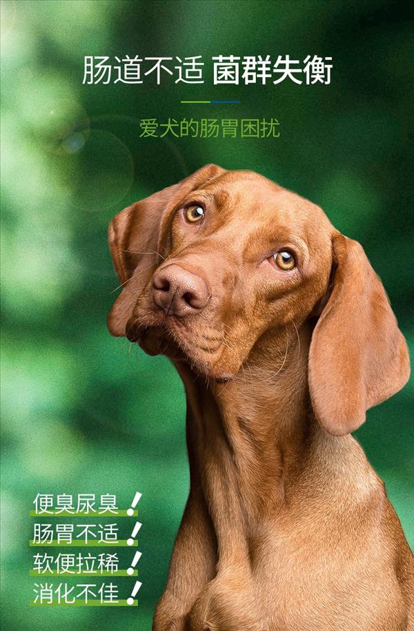 麦德氏IN-PLUS 犬 优肠宝S+ 250g