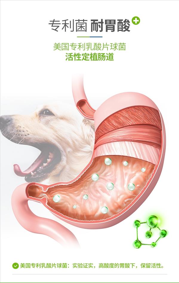 麦德氏IN-PLUS 犬 优肠宝S+ 250g