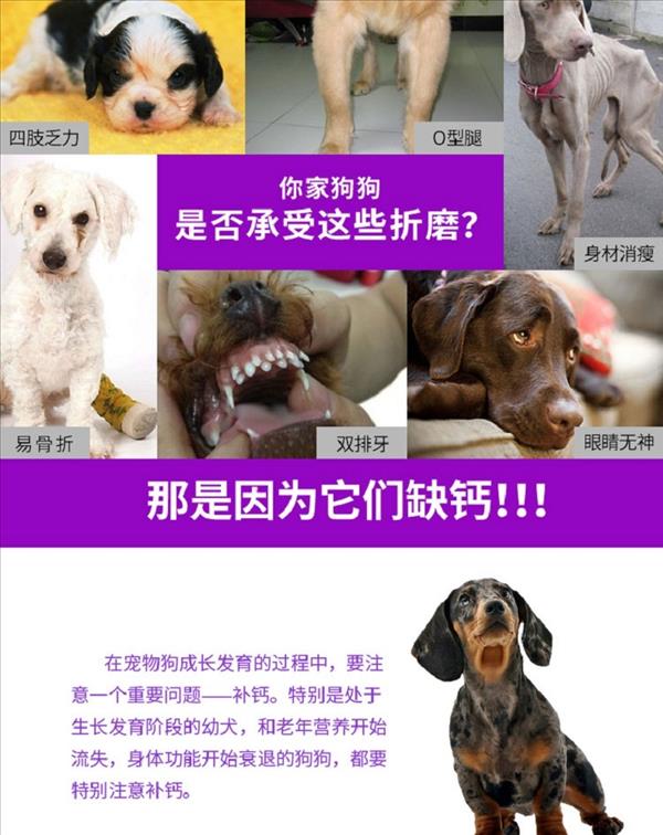 菩施康 犬猫通用 初乳成长钙138片/瓶 预防软骨病