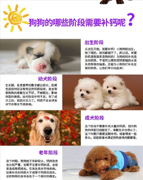 菩施康 犬猫通用 初乳成长钙138片/瓶 预防软骨病