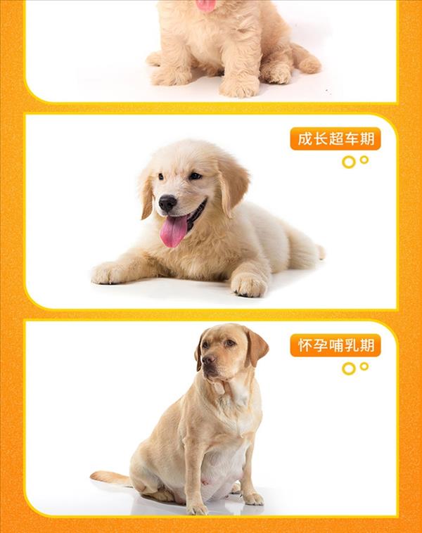 麦德氏inbasic 犬用羊乳钙片 150片/罐 强健骨骼