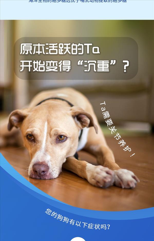 sashas萨沙 关节灵胶囊 30粒/瓶 无人工添加 犬猫通用