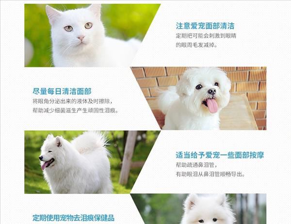 维斯康 犬猫通用亮洁护眼配方营养粉剂 85g 防止泪痕