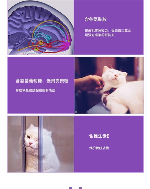 卫仕 猫尿通 低聚壳聚糖片 200片 维护泌尿道健康