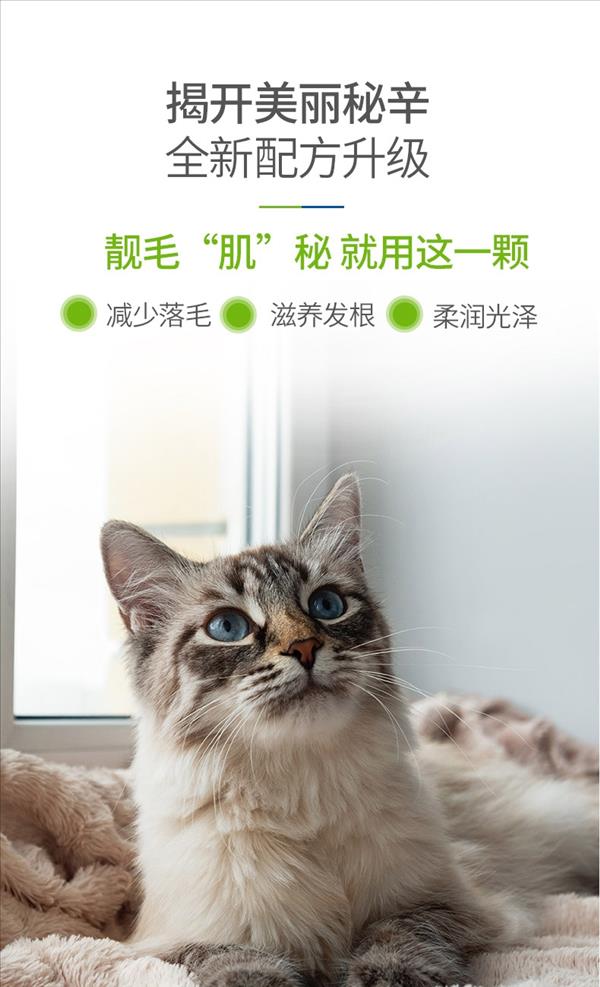 麦德氏inplus 猫用超浓缩卵磷脂 225g 