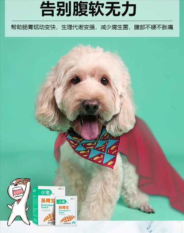 小宠EHD 犬猫肠胃宝益生菌 5g*10包 调理肠胃促消化