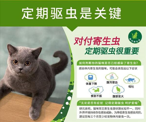 拜宠清 猫咪体内外一体驱虫+多美洁窝具除虱喷雾