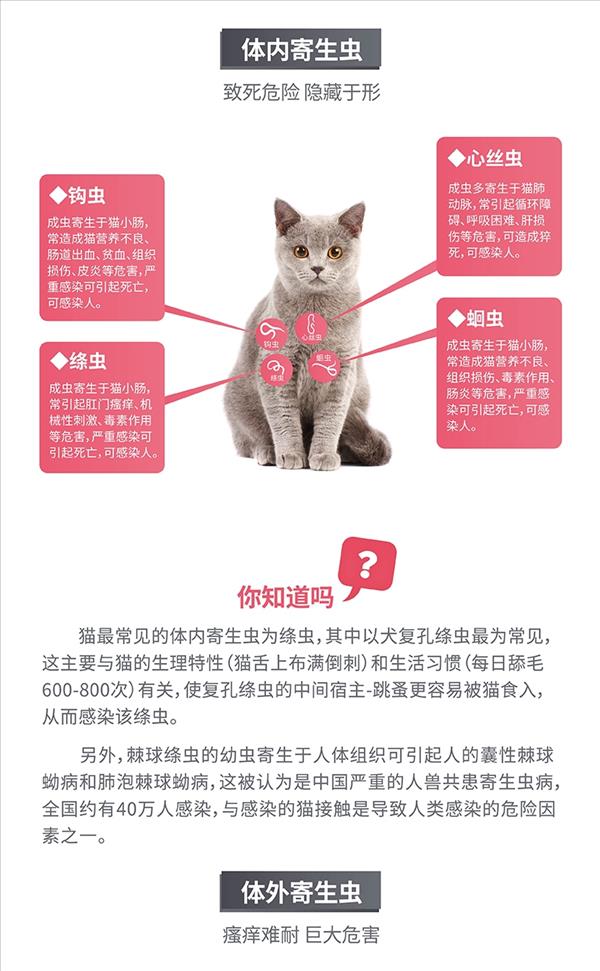 海乐妙1粒+福来恩1支 成猫驱虫套餐 内外同驱