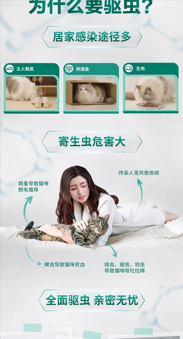 博来恩  猫用内外同驱滴剂 中大型猫(2.5-7.5kg) 单支/1个月剂量 