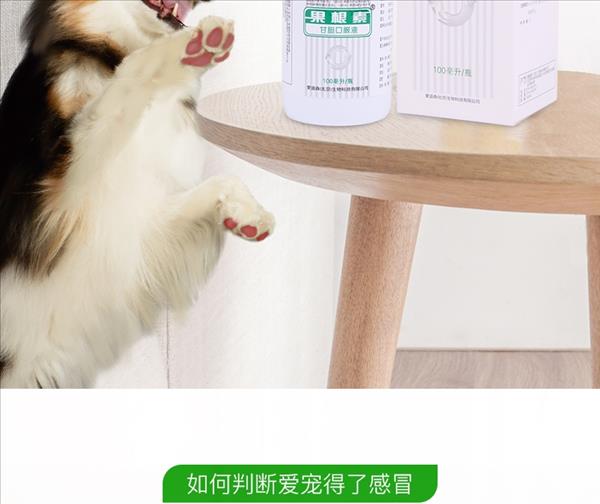 爱迪森 犬猫用果根素甘胆口服液 100ml 感冒咳嗽药 