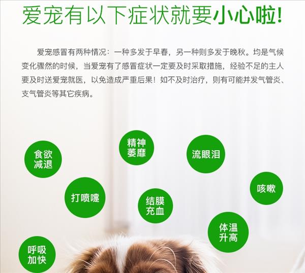 爱迪森 犬猫用果根素甘胆口服液 100ml 感冒咳嗽药 