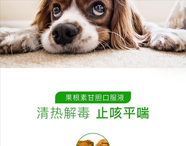 爱迪森 犬猫用果根素甘胆口服液 100ml 感冒咳嗽药 