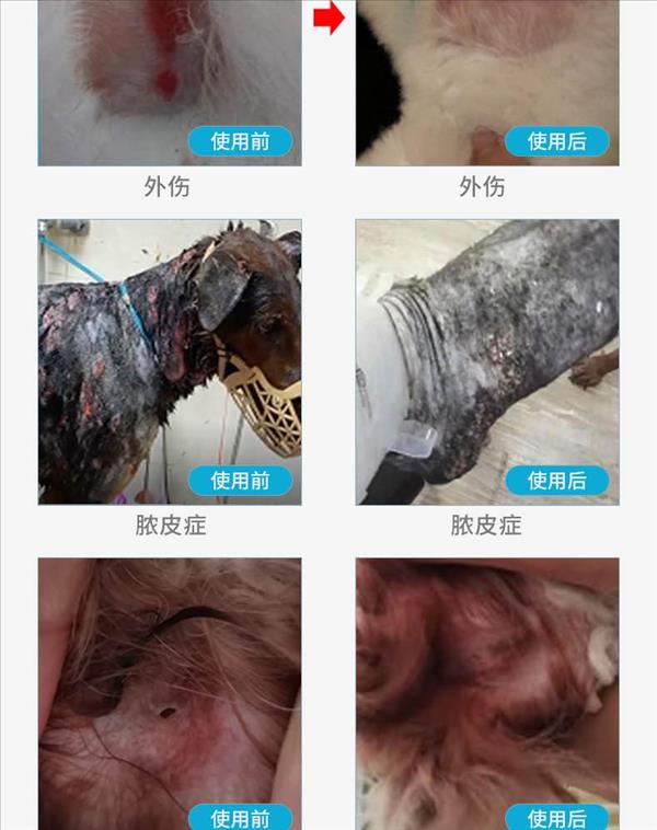 金盾 贝美特软膏 20g  外伤、趾间炎、脓皮症适用 犬猫通用