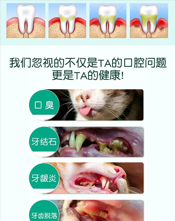 多美洁 猫专用 天然清新口气洁齿水 118ml 美国进口