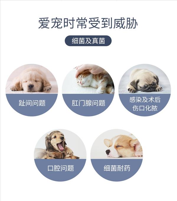 那非普 创可宁消毒喷剂 60ml 犬猫通用 感染及术后伤口适用