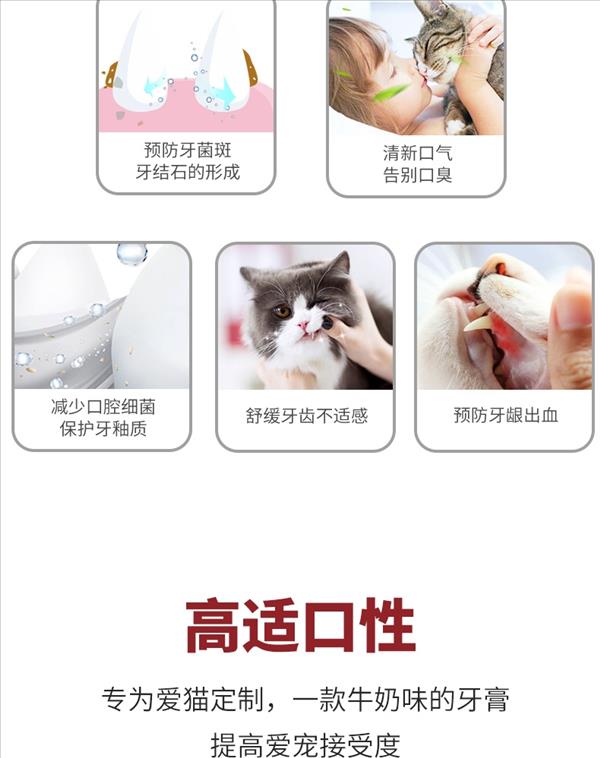 KOJIMA宠物360牙刷（犬猫）+KOJIMA猫用乳酸菌牙膏 40G