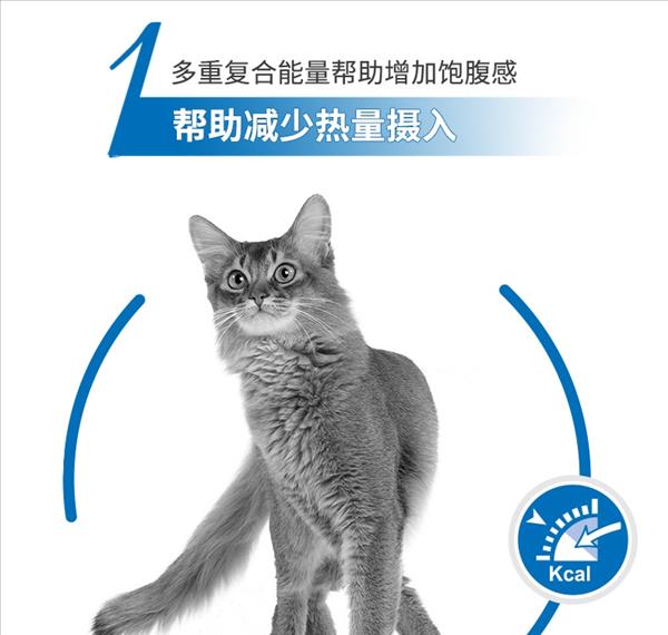 法国皇家Royal Canin 体重呵护成猫粮2kg L40