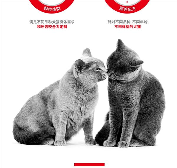 法国皇家Royal Canin 美毛功能粮 成猫粮2kg H33