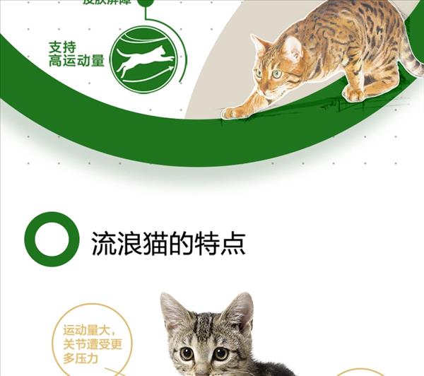 法国皇家Royal Canin 室外成猫粮 4kg O30