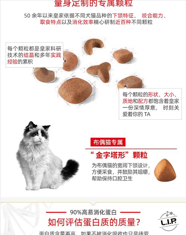 法国皇家Royal Canin 布偶猫成猫粮 2kg RA32