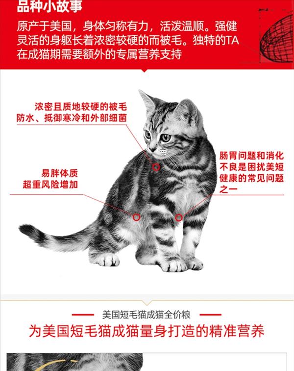 法国皇家Royal Canin 美国短毛猫成猫粮10kg ASA31