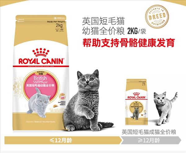 法国皇家Royal Canin 英国短毛幼猫粮 2kg BSK38