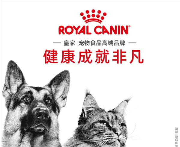 法国皇家Royal Canin 波斯猫幼猫粮 10kg KP32