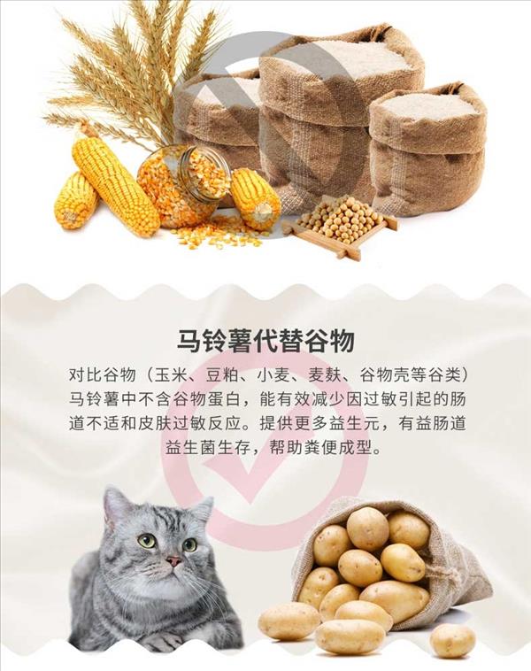 玫斯 无谷生鲜室内肠道猫全价猫粮 2kg 营养丰富