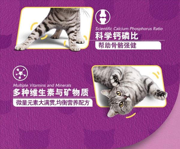 伟嘉 精选海洋鱼味成猫猫粮 10kg