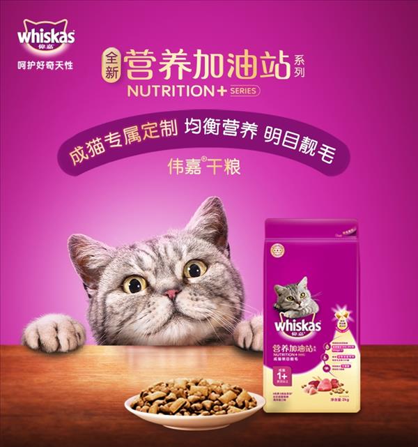 伟嘉 营养加油站系列 海洋鱼口味全价成猫猫粮 2kg  亮毛明目