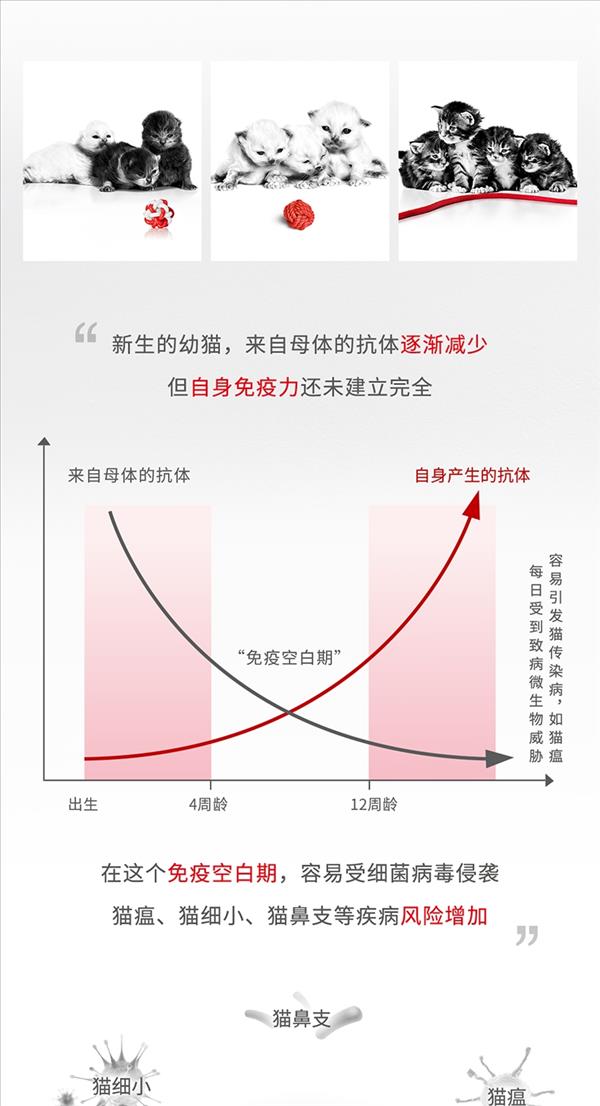 法国皇家Royal Canin 1-4个月幼猫奶糕 10kg BK34