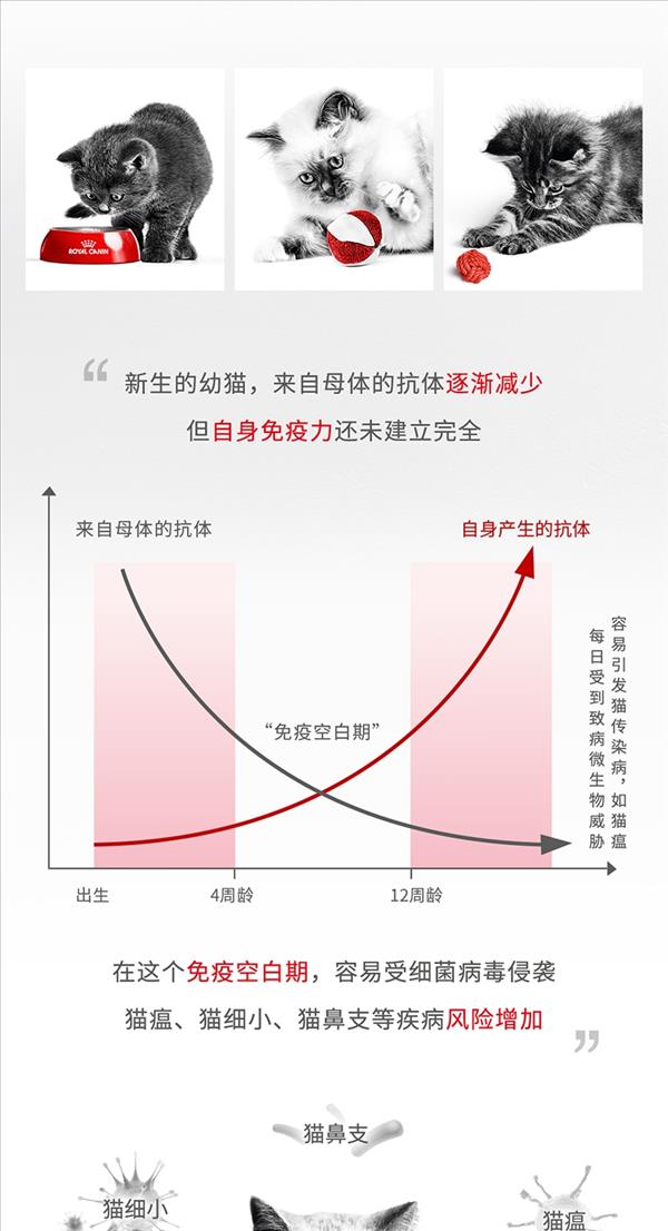 法国皇家Royal Canin 孕猫及12个月以下幼猫粮 400g K36