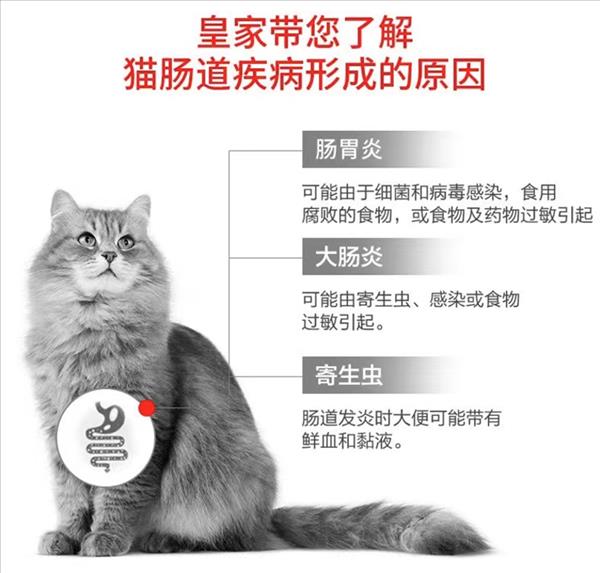 法国皇家 成猫优纤易消化处方猫粮 1.5kg 促进肠胃蠕动