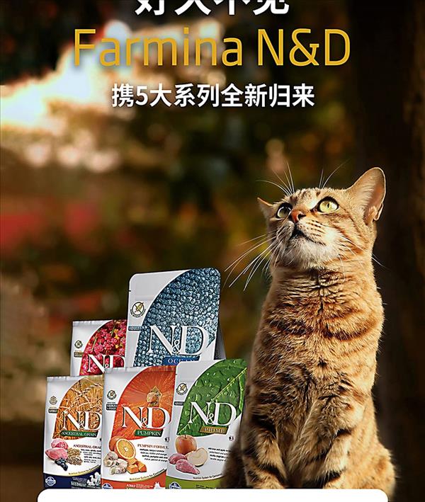 非卖品【试用装】法米娜 无谷鲱鱼甜橙配方成猫粮 50g 试用装 原装进口